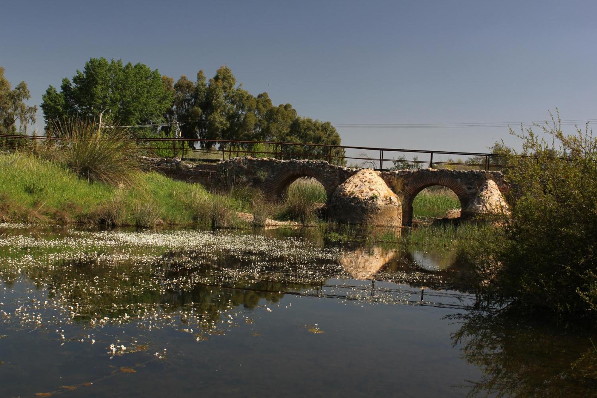 Complejo Turistico Rural Fuente Taray Apartment Malagón