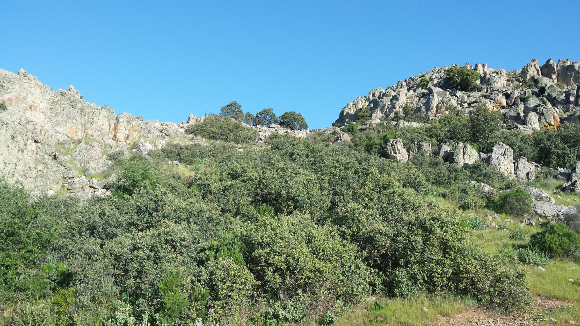 Complejo Turistico Rural Fuente Taray Apartament Malagón